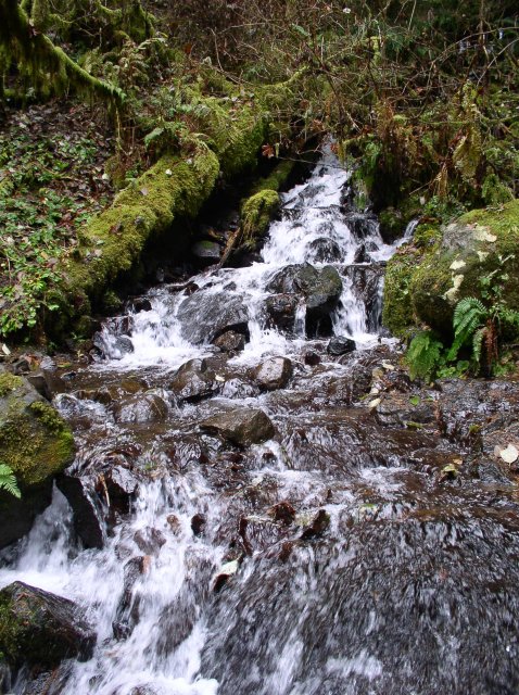 Waukeena Mult Falls 11.26.05 030 